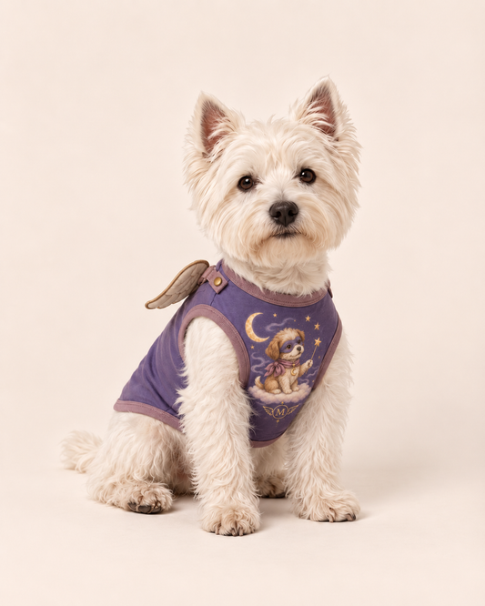 Moonlight Mystic Winged Dog Halloween Costume