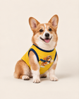Lightning Runner Superhero Dog Halloween Costume