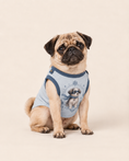 Load image into Gallery viewer, Frost Guardian Winter Hero Dog Costume

