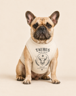 Taurus Zodiac Pima Cotton Dog Shirt