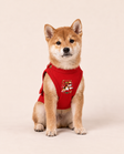 Crimson Acrobat Superhero Dog Halloween Costume