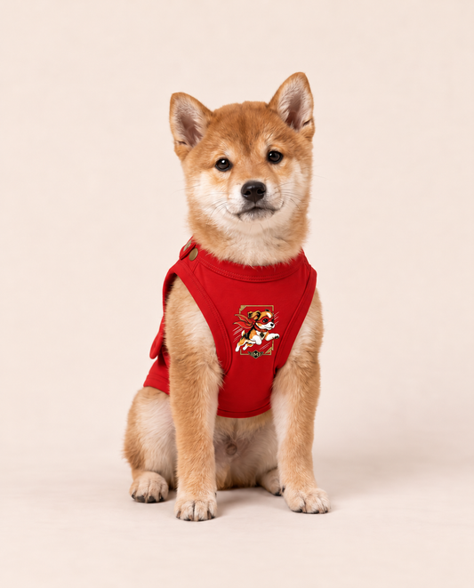 Crimson Acrobat Superhero Dog Halloween Costume