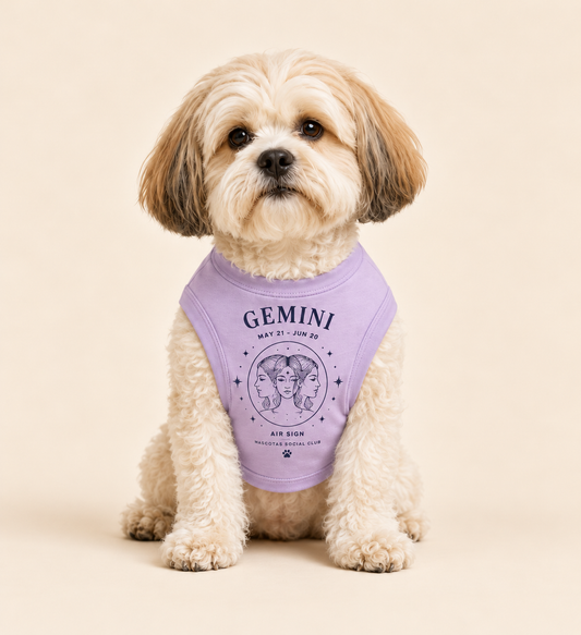 Gemini Zodiac Pima Cotton Dog Shirt
