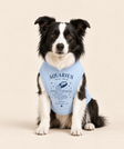 Aquarius Zodiac Pima Cotton Dog Shirt