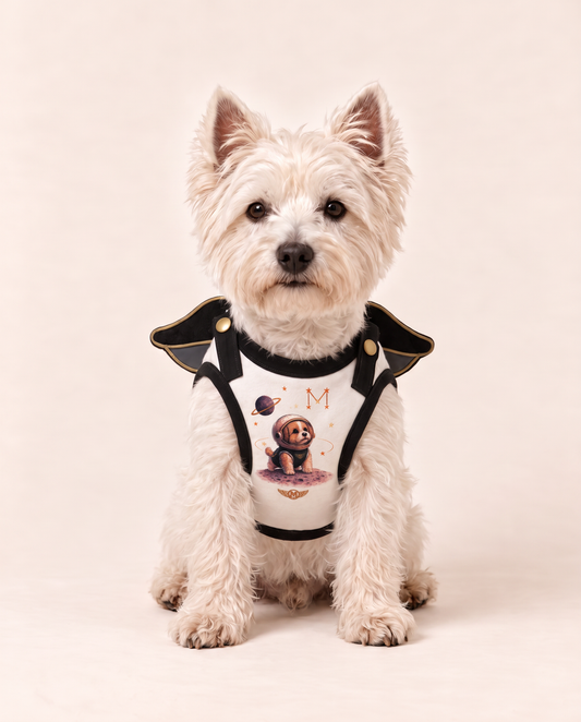 Cosmic Commander Space Hero Dog Costume