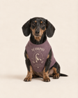 Scorpio Zodiac Pima Cotton Dog Shirt
