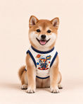 Load image into Gallery viewer, Cosmic Canine Explorer Tee | Space Dog Costume Shirt
