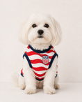 Load image into Gallery viewer, USA: Valor
