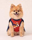 Sky Sentinel Superhero Dog Costume with Cape