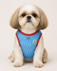 DR Congo Dog Jersey: Motema