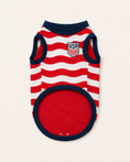 Load image into Gallery viewer, USA: Valor
