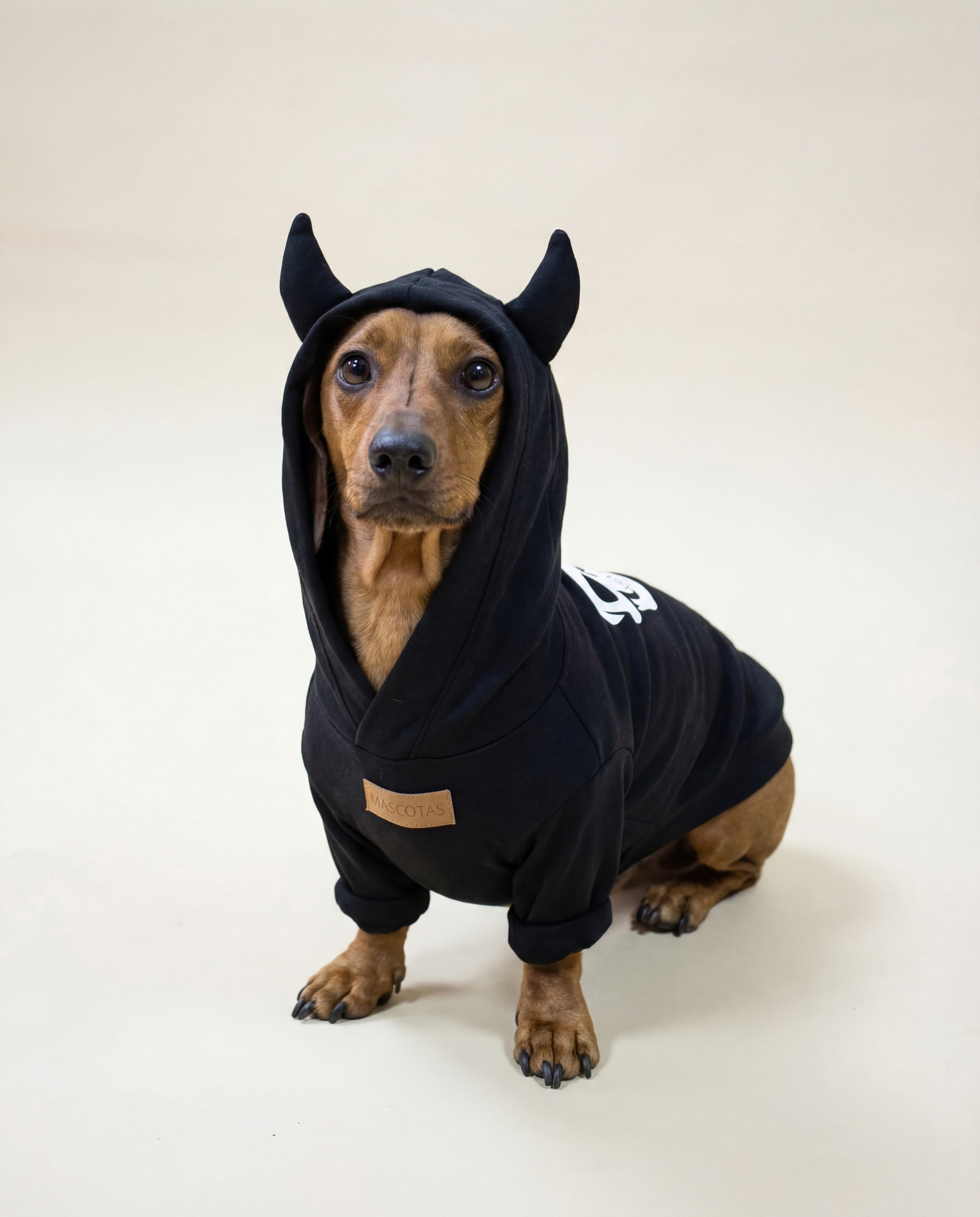 Halloween Gangsta - Cool Dog Look