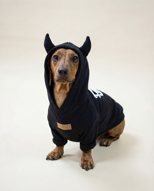 Halloween Gangsta - Cool Dog Look