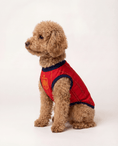 Load image into Gallery viewer, Spain Dog and Owner Matching Outfit 
