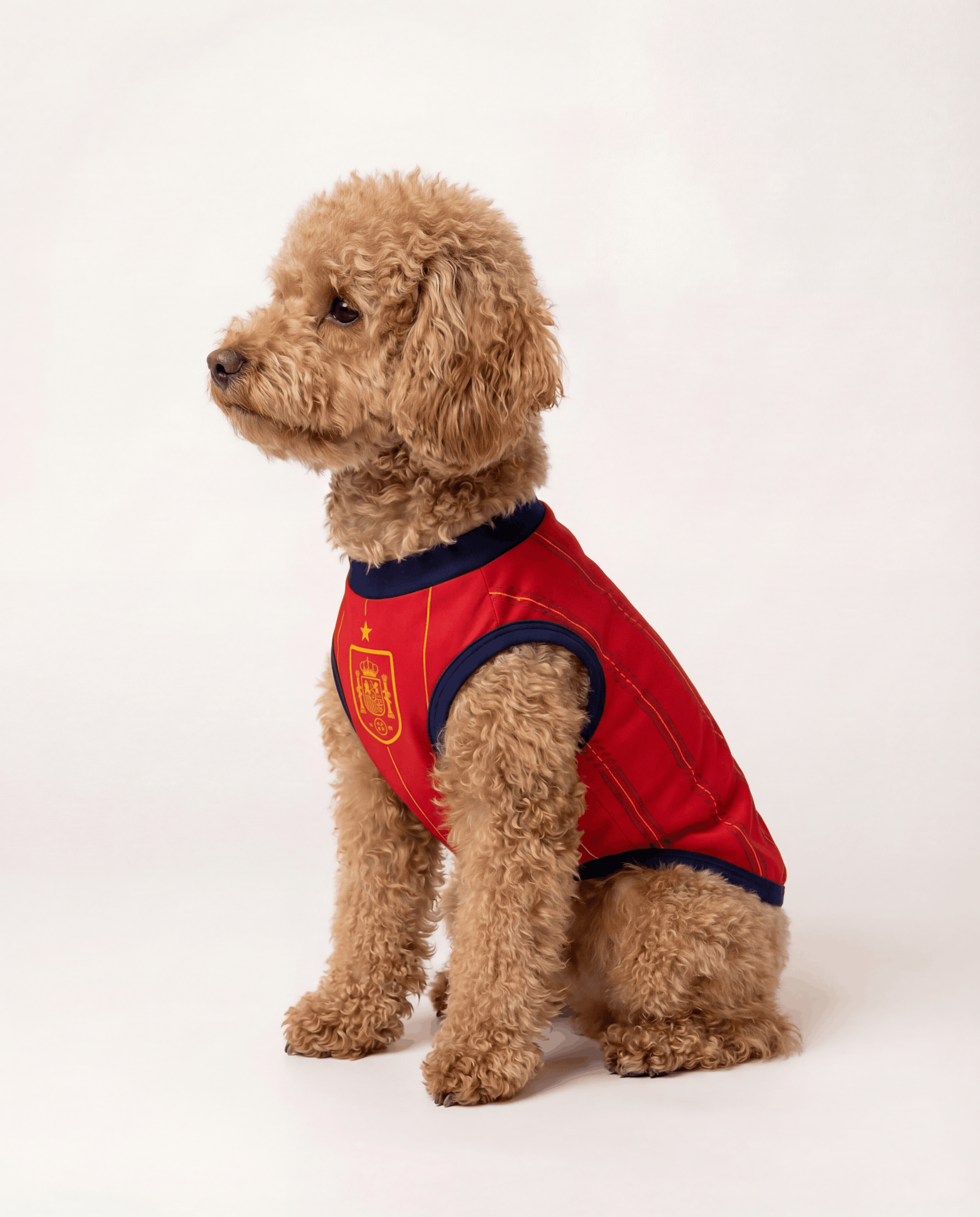 Spain Dog and Owner Matching Outfit 