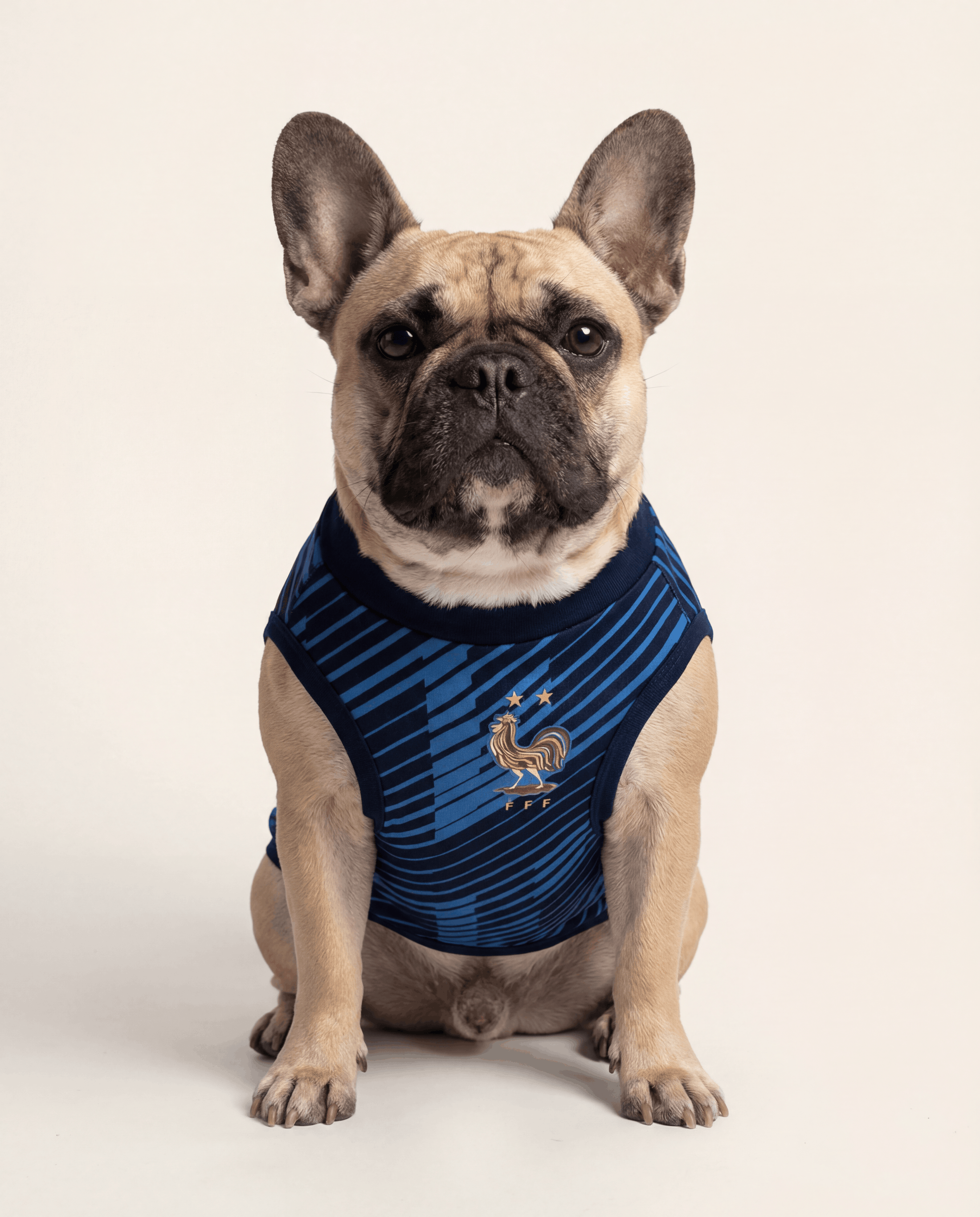 France Matching Dog & Owner Outfit 