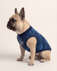 Load image into Gallery viewer, France Matching Dog & Owner Outfit 
