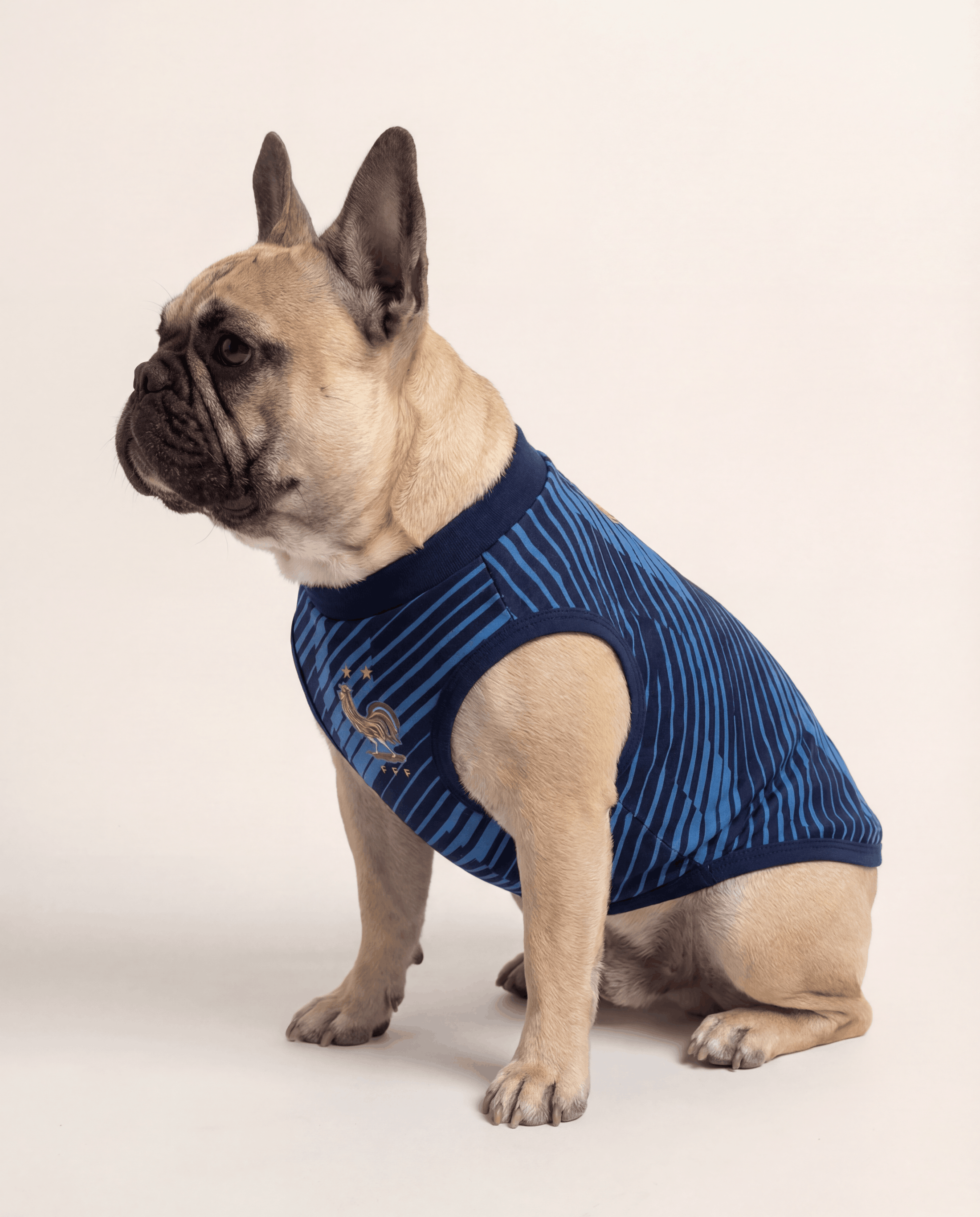 France Matching Dog & Owner Outfit 