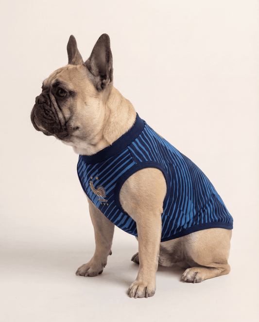 France Matching Dog & Owner Outfit 