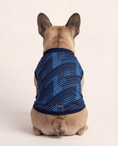 Load image into Gallery viewer, France Matching Dog & Owner Outfit 
