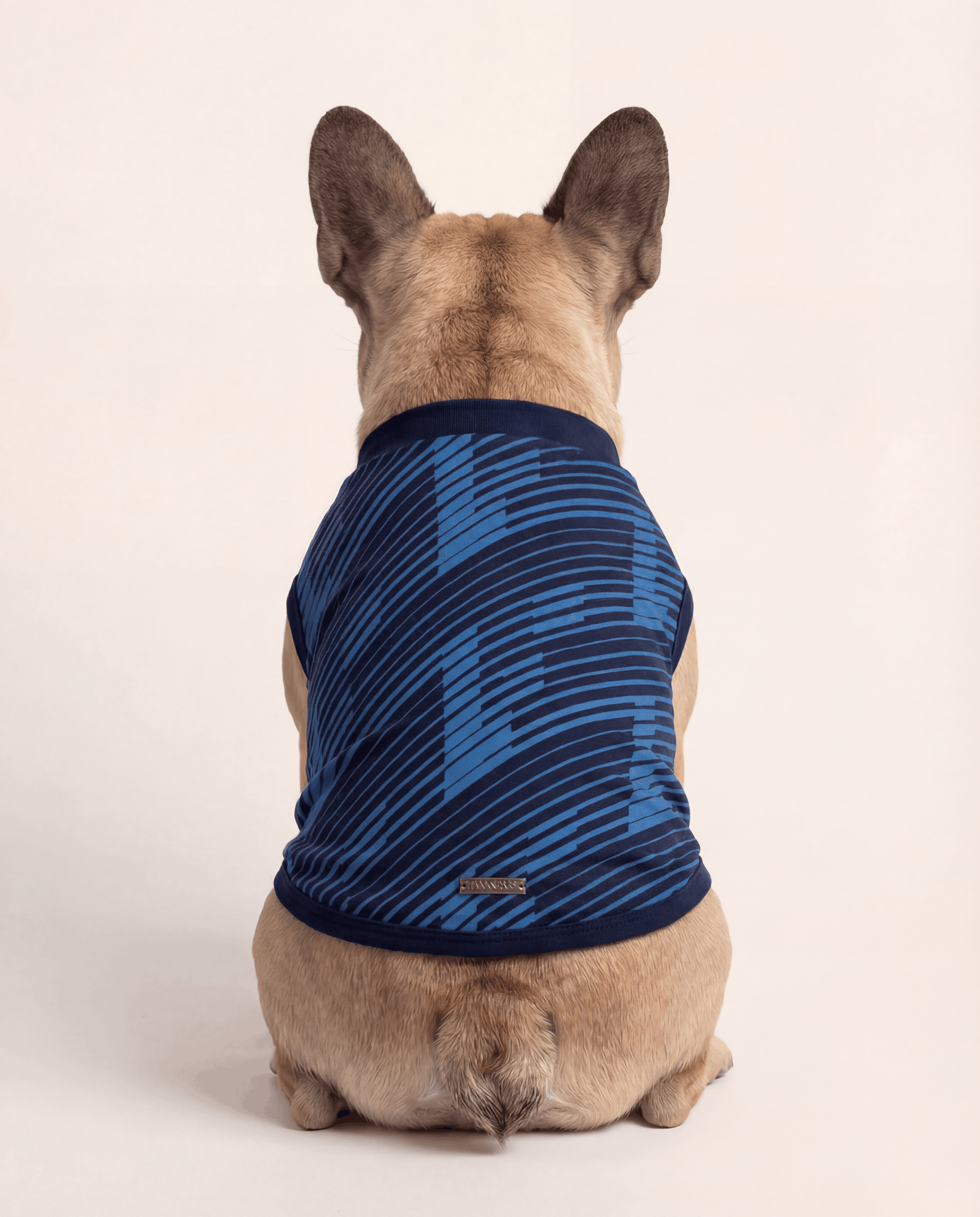 France Matching Dog & Owner Outfit 
