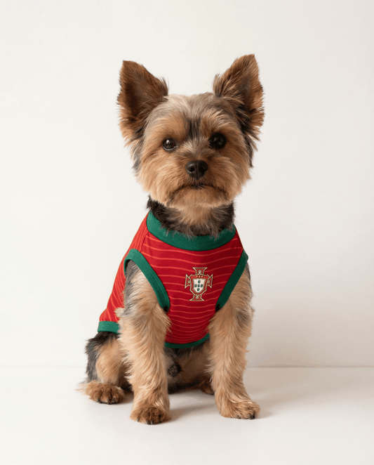 Small dog wearing a red and green striped shirt with a logo on a white background