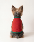 Load image into Gallery viewer, Dog wearing a red and green striped shirt on a white background
