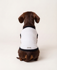 Load image into Gallery viewer, Dog wearing a white shirt with black trim on a light background
