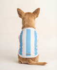 Load image into Gallery viewer, Dog wearing a white and blue striped shirt on a plain background
