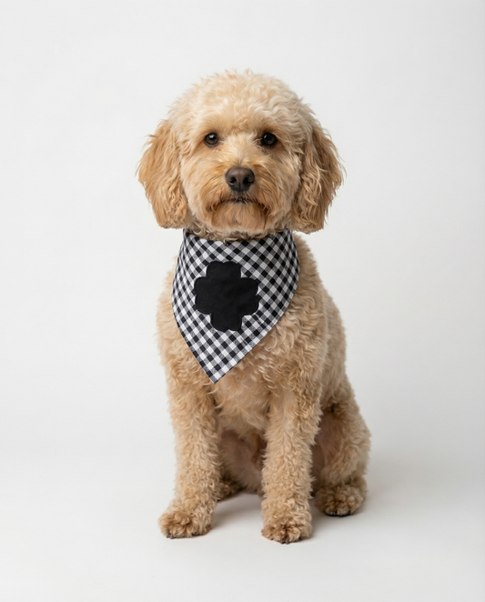 Black & White Gingham