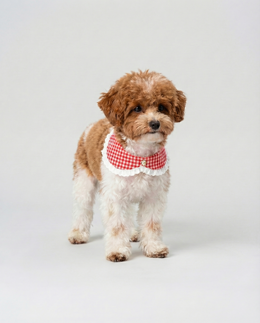 Small dog wearing a red checkered bandana on a light gray background