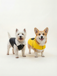 Load image into Gallery viewer, Two dogs wearing raincoats on a white background

