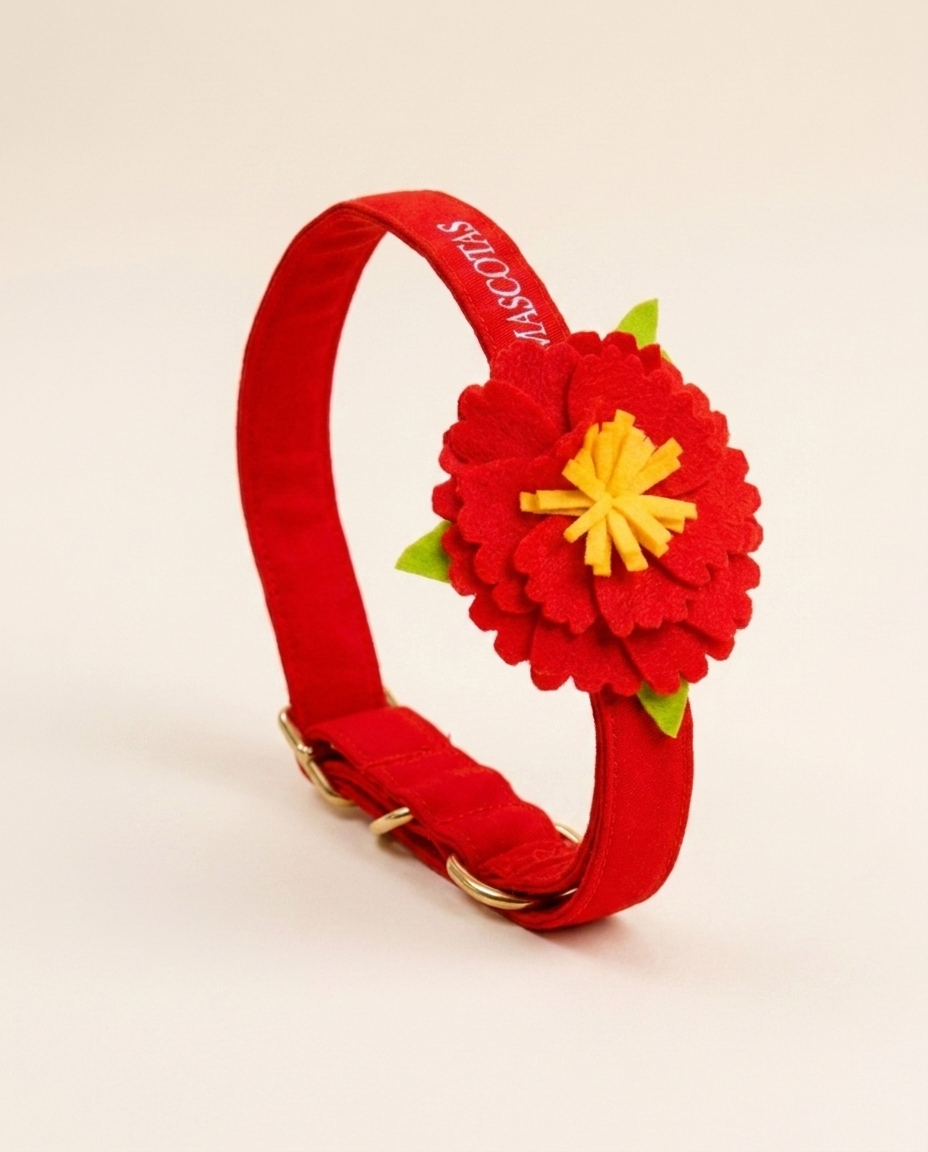 Red Flower Collar