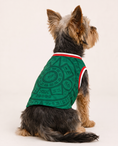 Load image into Gallery viewer, Mexico: Corazón
