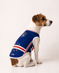 Load image into Gallery viewer, Morabeza : Cape Verde Dog Jersey
