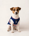 Load image into Gallery viewer, Morabeza : Cape Verde Dog Jersey
