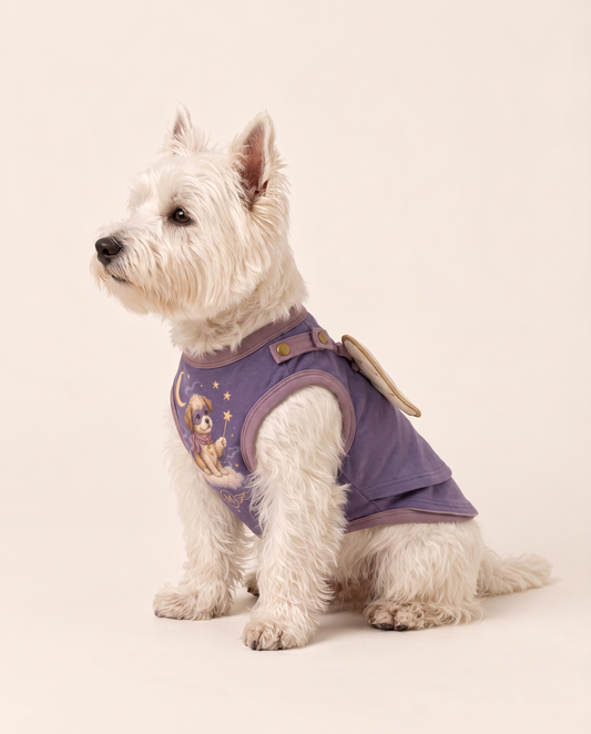 Moonlight Mystic Winged Dog Halloween Costume
