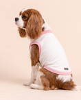 Load image into Gallery viewer, Sparkle Pup Magic Tee | Pink Magical Girl Dog Shirt
