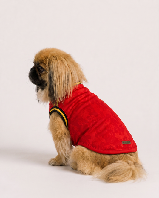 Fierté : Belgium Dog Jersey