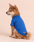 Load image into Gallery viewer, Happy Hound Adventure Tee | Blue Character Dog Shirt

