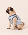 Load image into Gallery viewer, Frost Guardian Winter Hero Dog Costume
