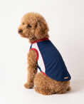 Load image into Gallery viewer, USA: Glory
