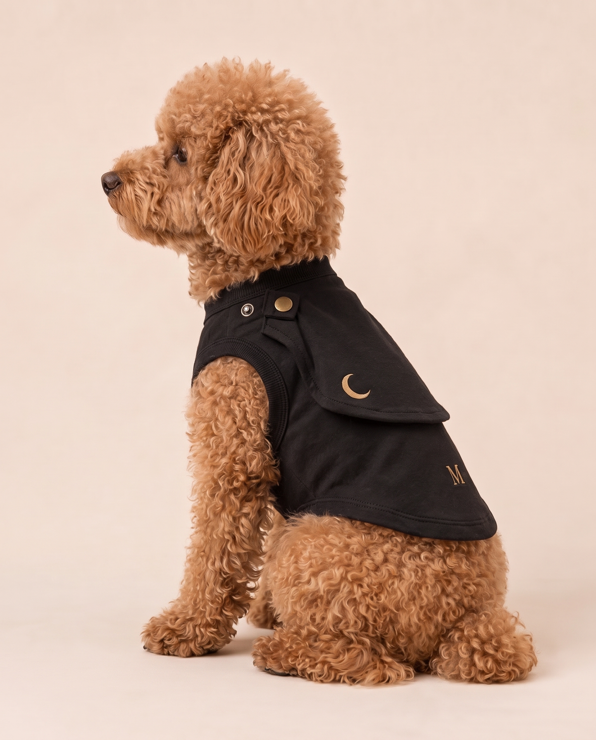 Midnight Guardian Superhero Dog Costume with Cape