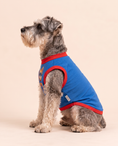 Load image into Gallery viewer, Super Pup Hero Tee | Blue Superhero Dog Shirt

