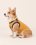 Load image into Gallery viewer, Lightning Runner Superhero Dog Halloween Costume
