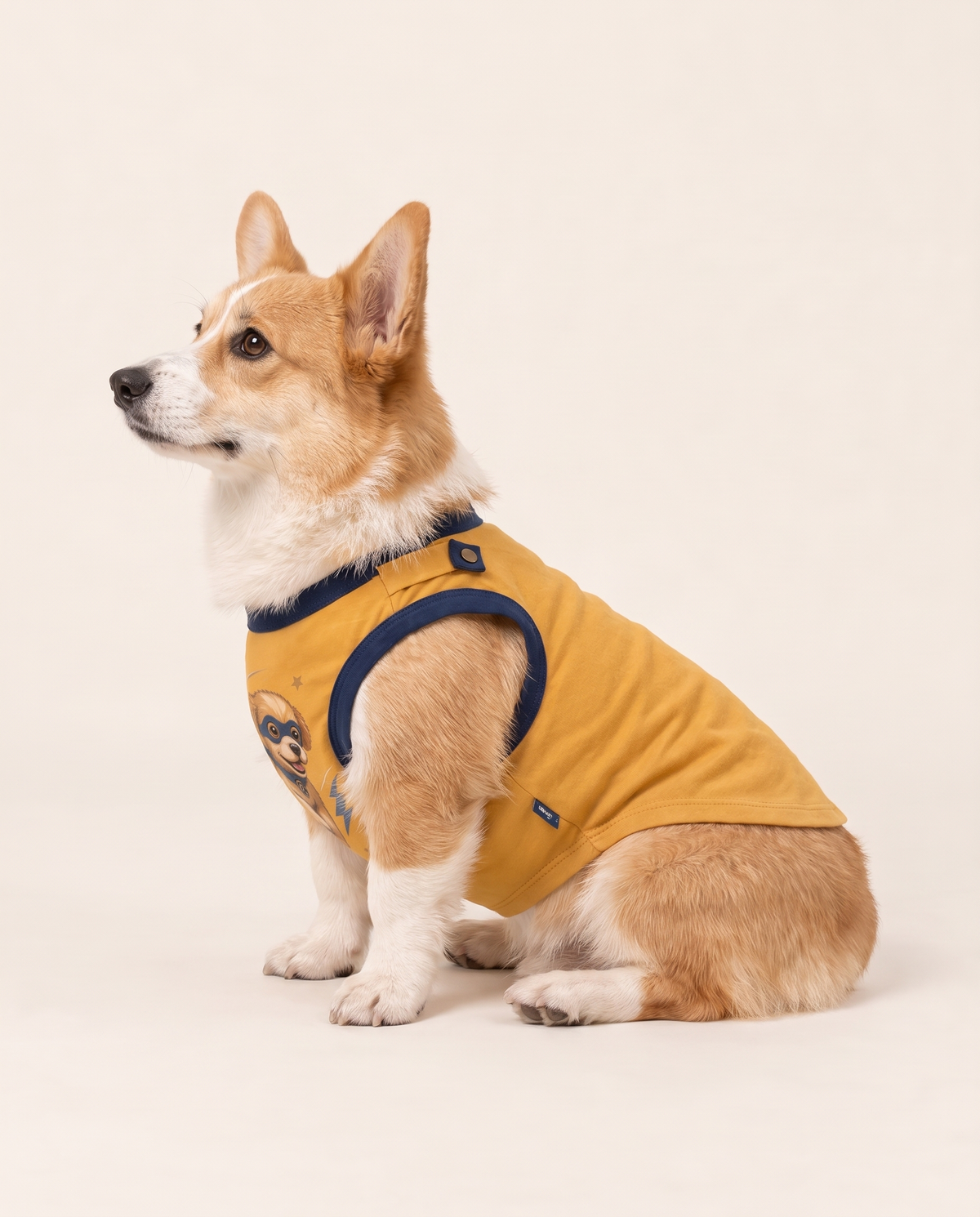 Lightning Runner Superhero Dog Halloween Costume