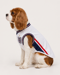 Load image into Gallery viewer, England: Roar
