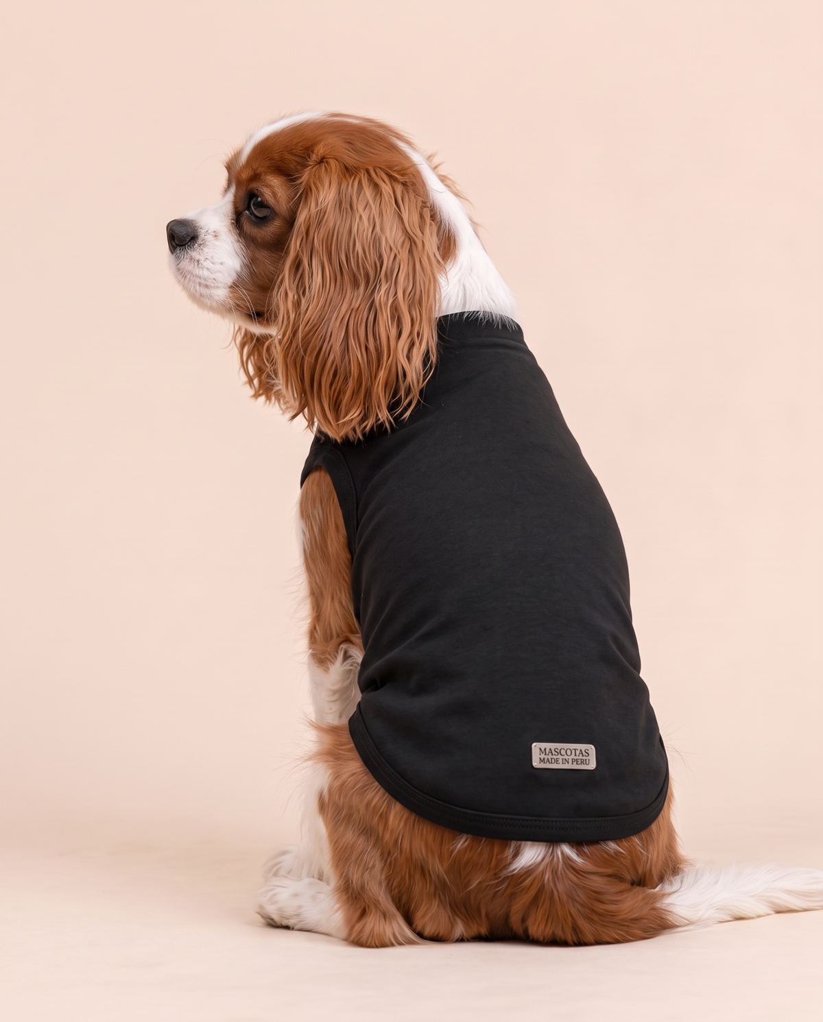 Night Guardian Dog Tee | Black Superhero Dog Shirt
