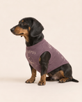 Load image into Gallery viewer, Scorpio Zodiac Pima Cotton Dog Shirt
