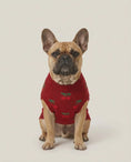 Load and play video in Gallery viewer, Cherry Kiss Knit - Baby Alpaca Dog Sweater
